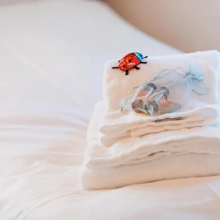 Backcountry Hotel*super Premium Apartamento *