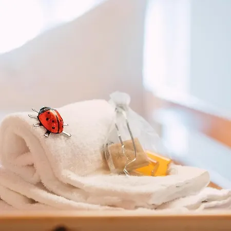 Backcountry Hotel*super Premium *